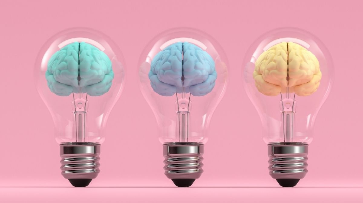 three light bulbs with brains inside