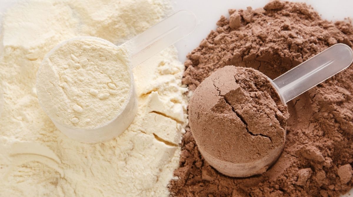 vanilla and chocolate protein powders