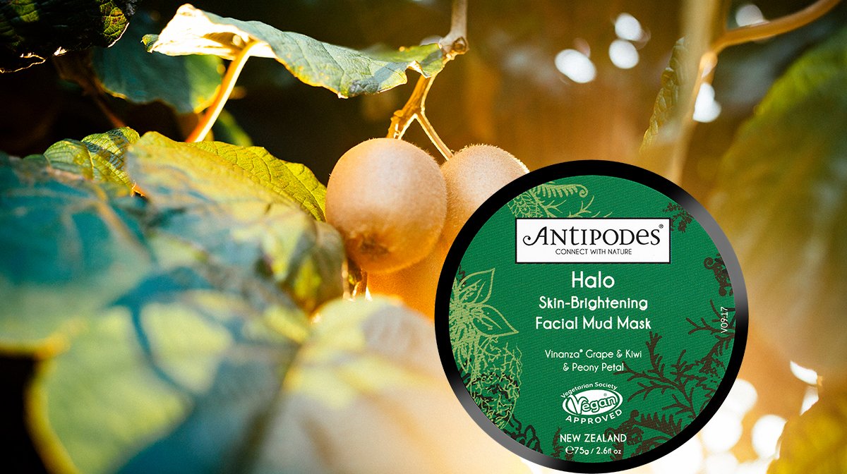 Benefits of Antioxidants for Skin | Antipodes UK