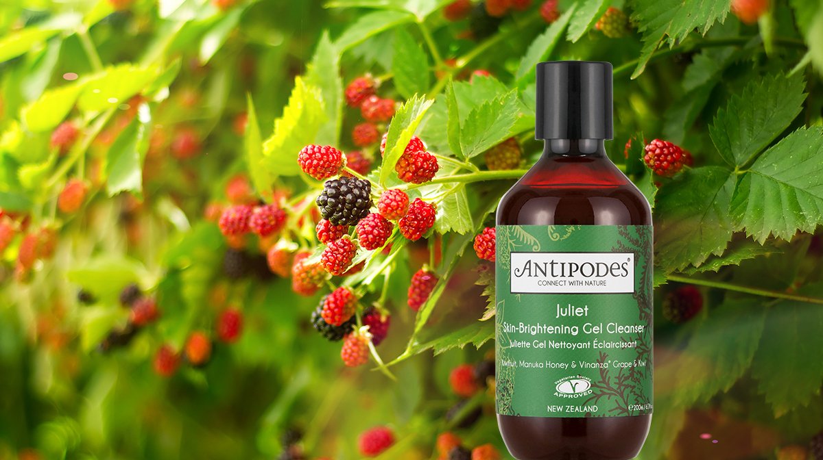Benefits of Antioxidants for Skin | Antipodes UK