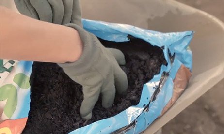 How to maintain and rotovate your lawn | Homebase