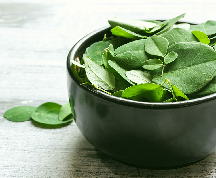 Moringa Skin Benefits - Dermstore Blog