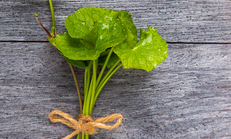 What Is Gotu Kola and What It Does for Skin