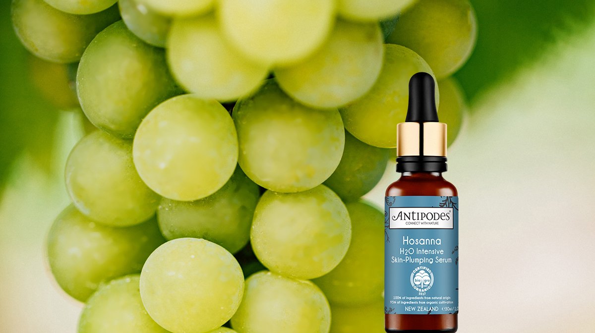 Benefits of Antioxidants for Skin | Antipodes US