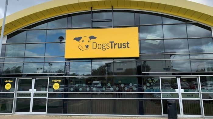 Preloved Raises Money for Dogs Trust