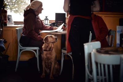 dogs in cafe