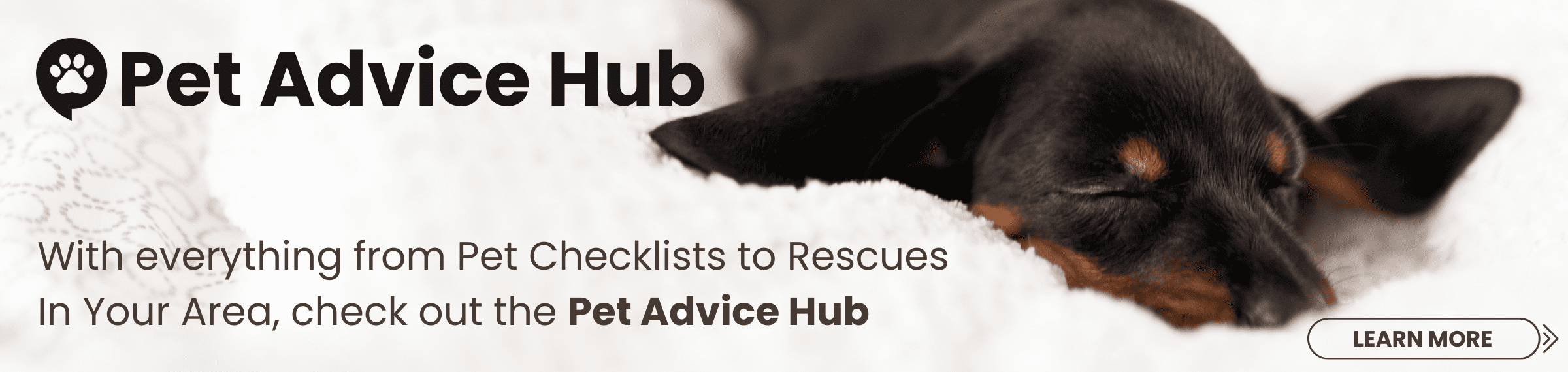 Preloved Pet Advice Hub
