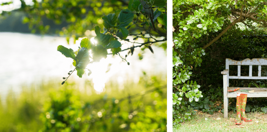 shade in small garden