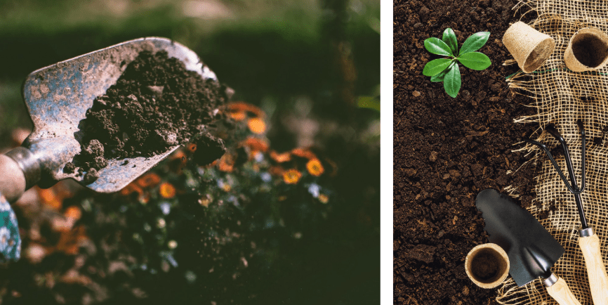 soil in small garden