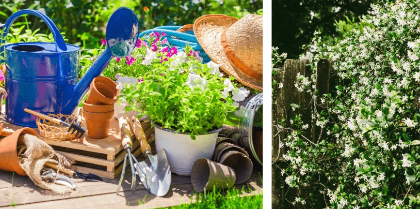 How to Plan and Design a Small Garden - Preloved UK