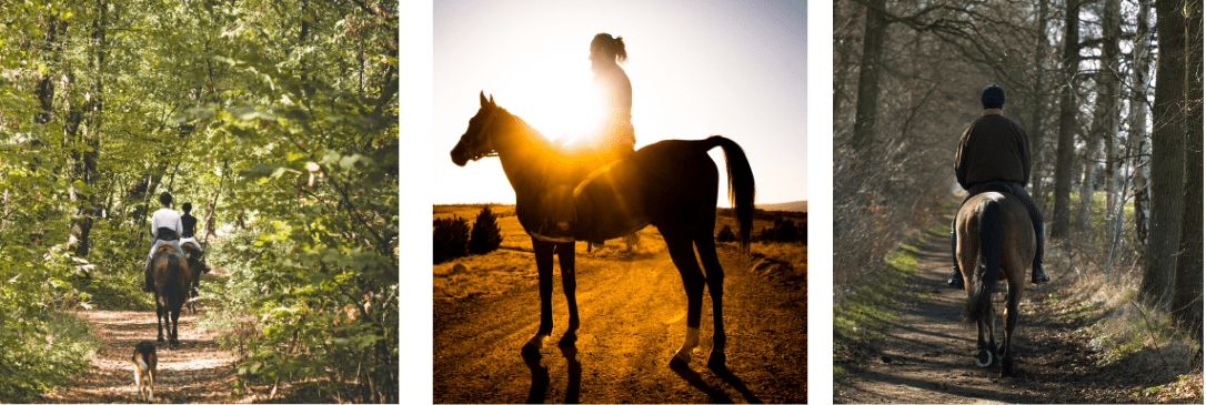 horse riding in cold weather