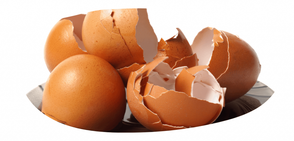 egg shells food scraps