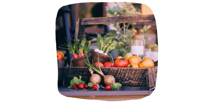 vegetable garden