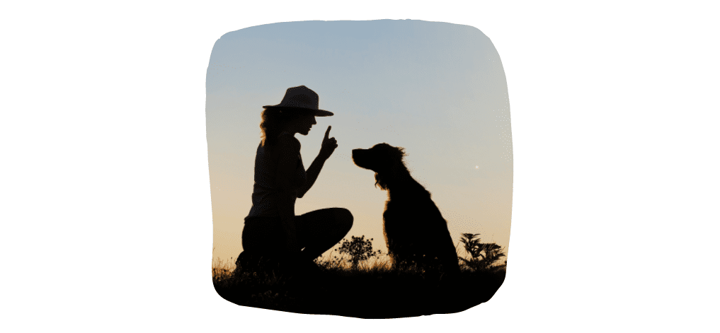 dog with owner in park