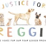 Justice For Reggie