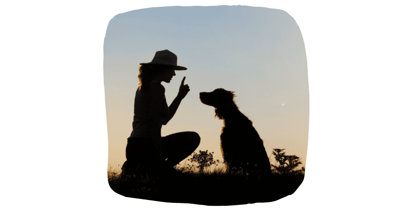 make your dog happy - education