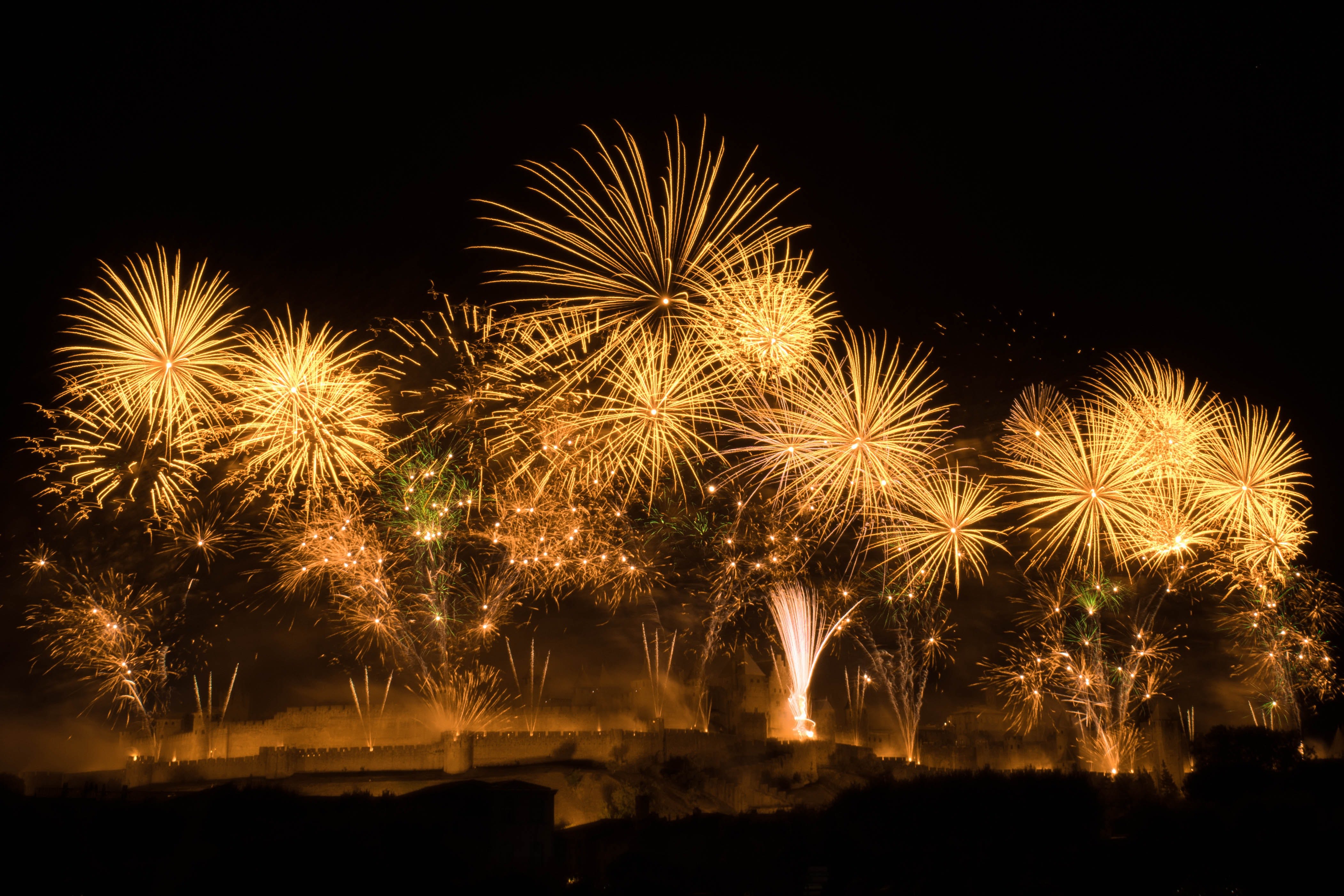 How To Keep Your Pets Safe On Bonfire Night Preloved UK