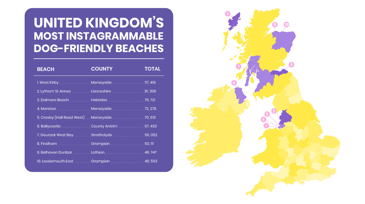 UK’s Most Instagrammable Dog-Friendly Beaches Ranked