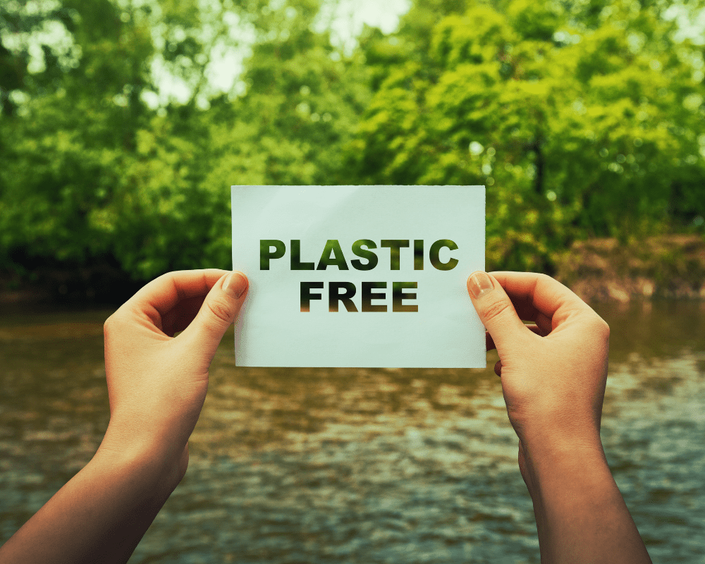 Hands holding a plastic free paper up in the forest