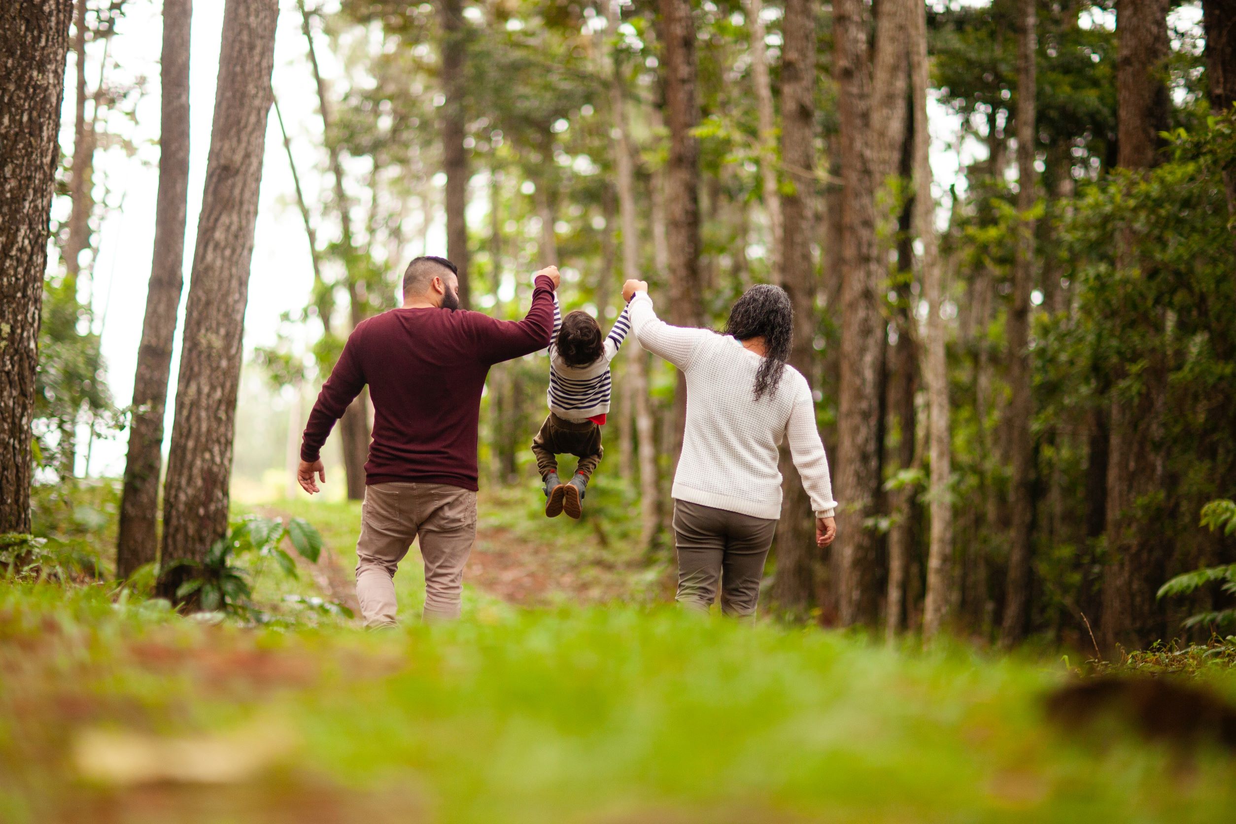 Affordable way to keep kids entertained this summer - Forest walks with the family