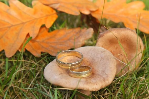 Things To Know For An Autumn Wedding