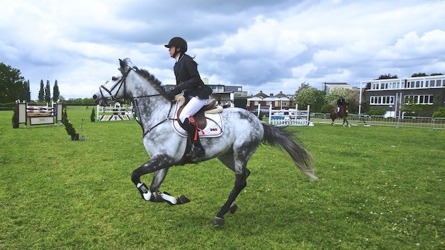 Horse galloping with rider on the back