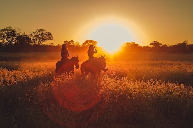 Horses trotting into a sunset