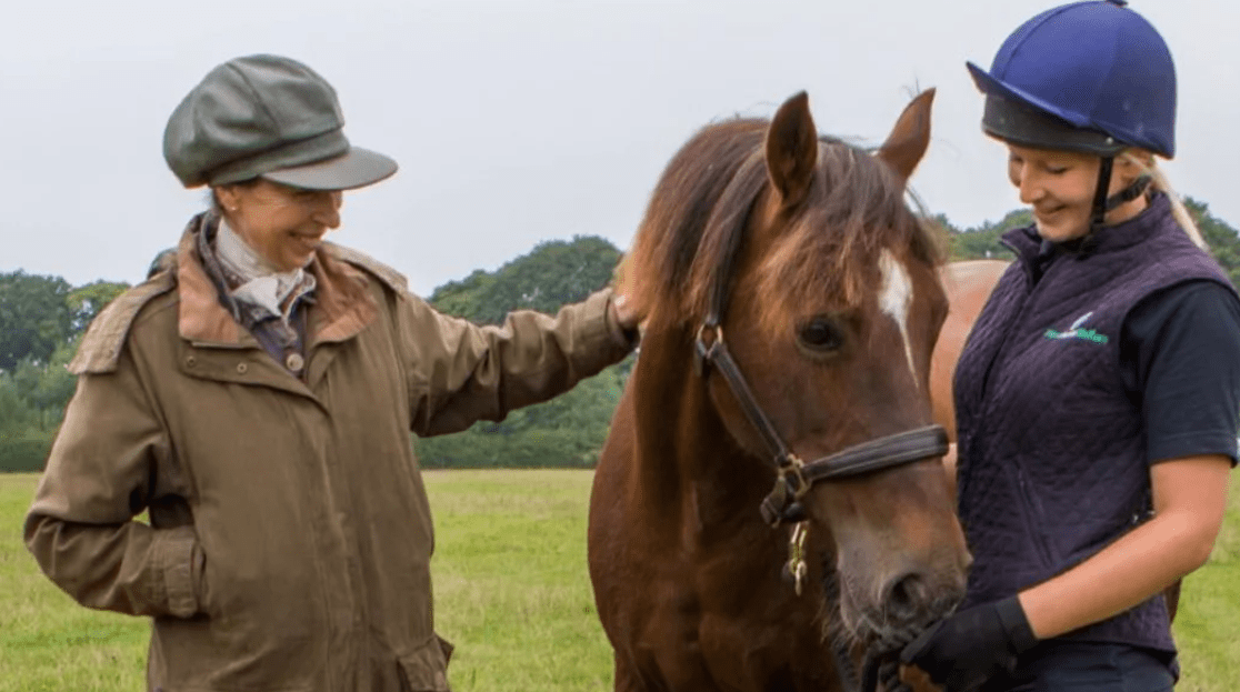 World Horse Welfare launches advice section