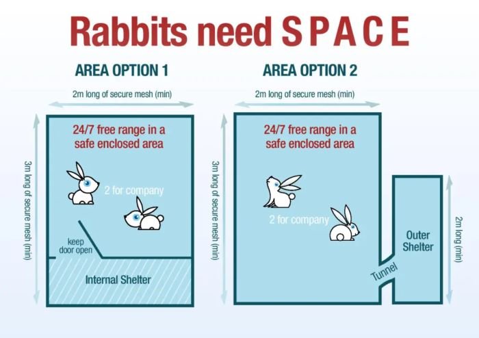 Rabbit Space Recommendations: 3x2x1