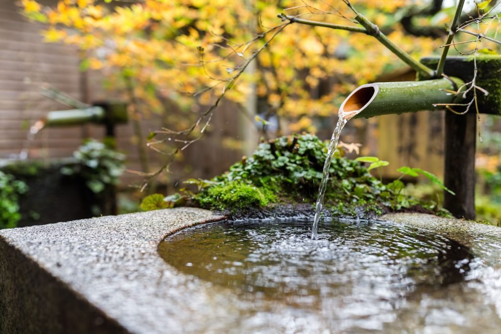 Water Feature for the garden, water sprouts