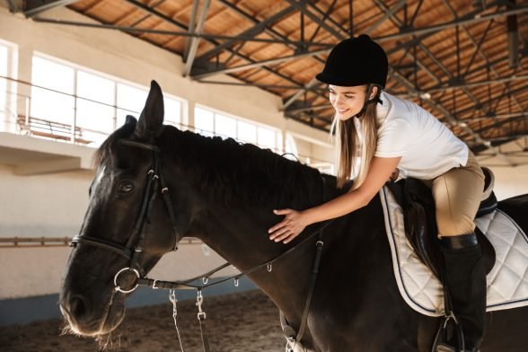 Savvy Savings: Essential Tips for Horse and Pony Owners