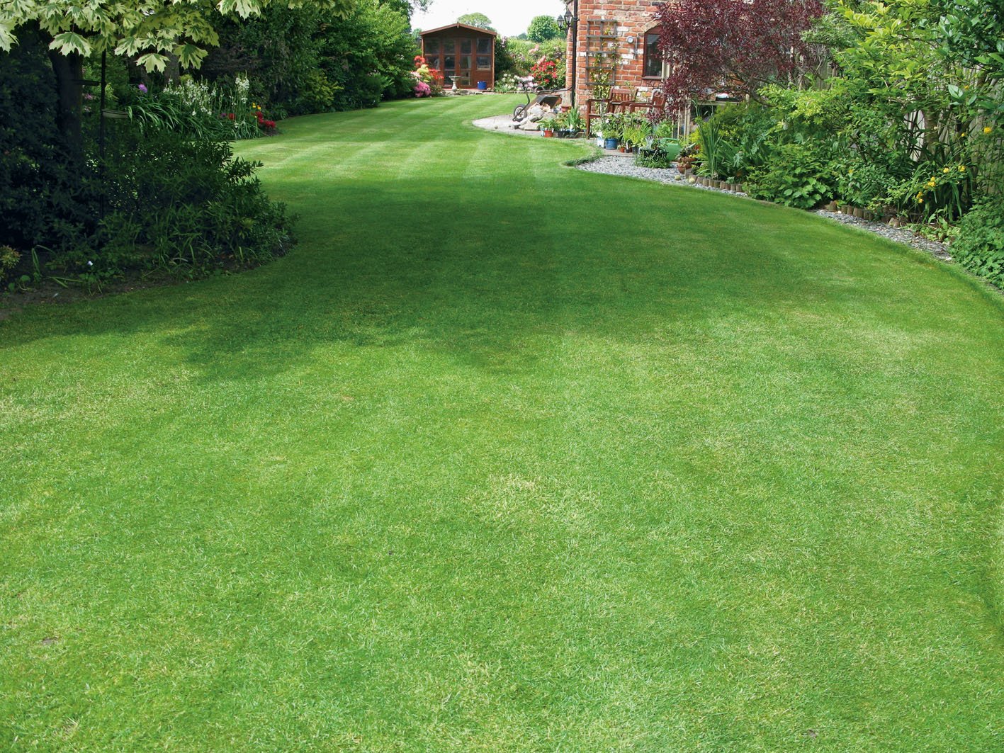 How To Create A Greener, Lusher Lawn
