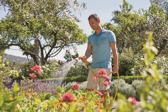 Garden Care and Maintenance Tips
