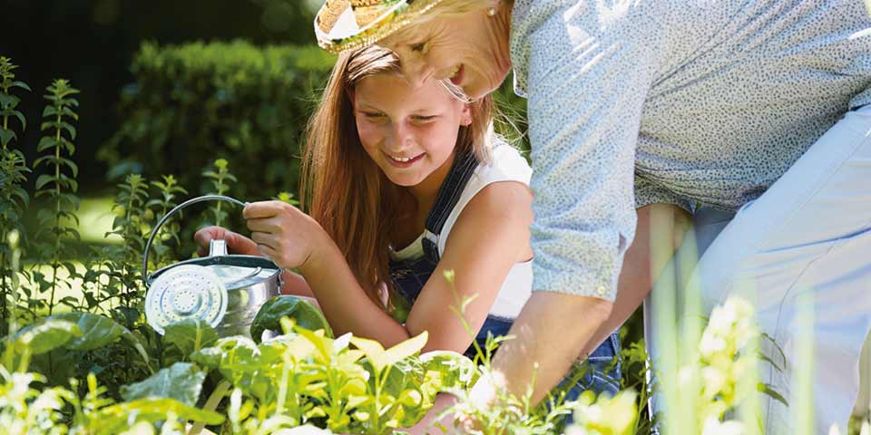 Give Your Plants Some TLC