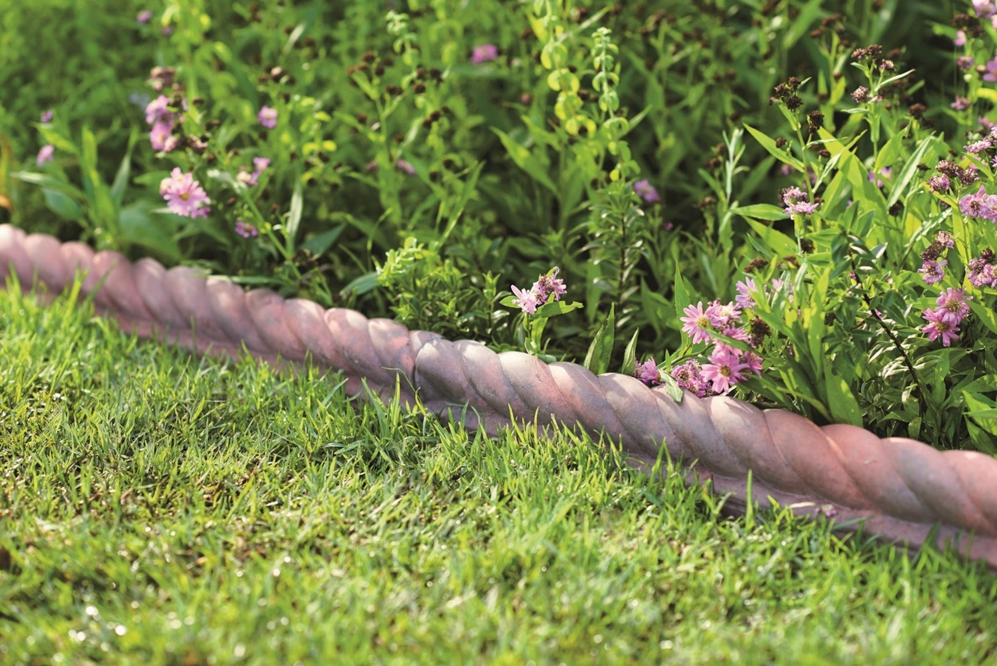 Chocolate Swiss Roll Cake - Craving Home Cooked