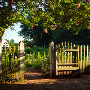 an image of a wooden picket fence outside the front of a house 