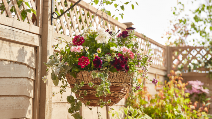 How To Plant Hanging Baskets