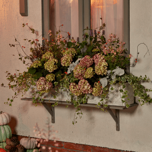 an image of flowers in a window planter