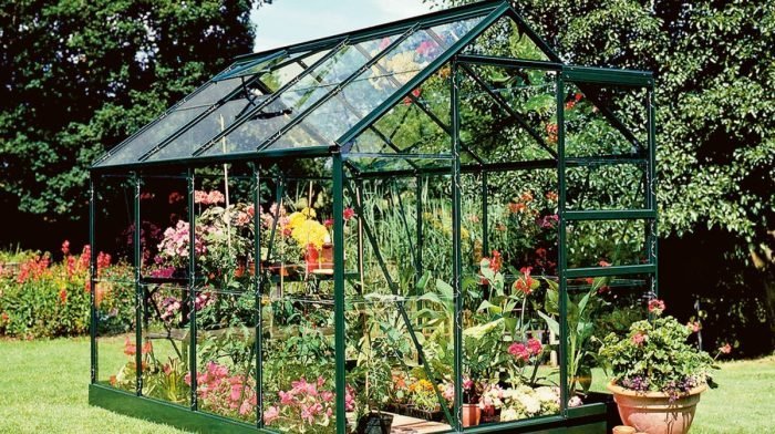 Greenhouse Buying Guide