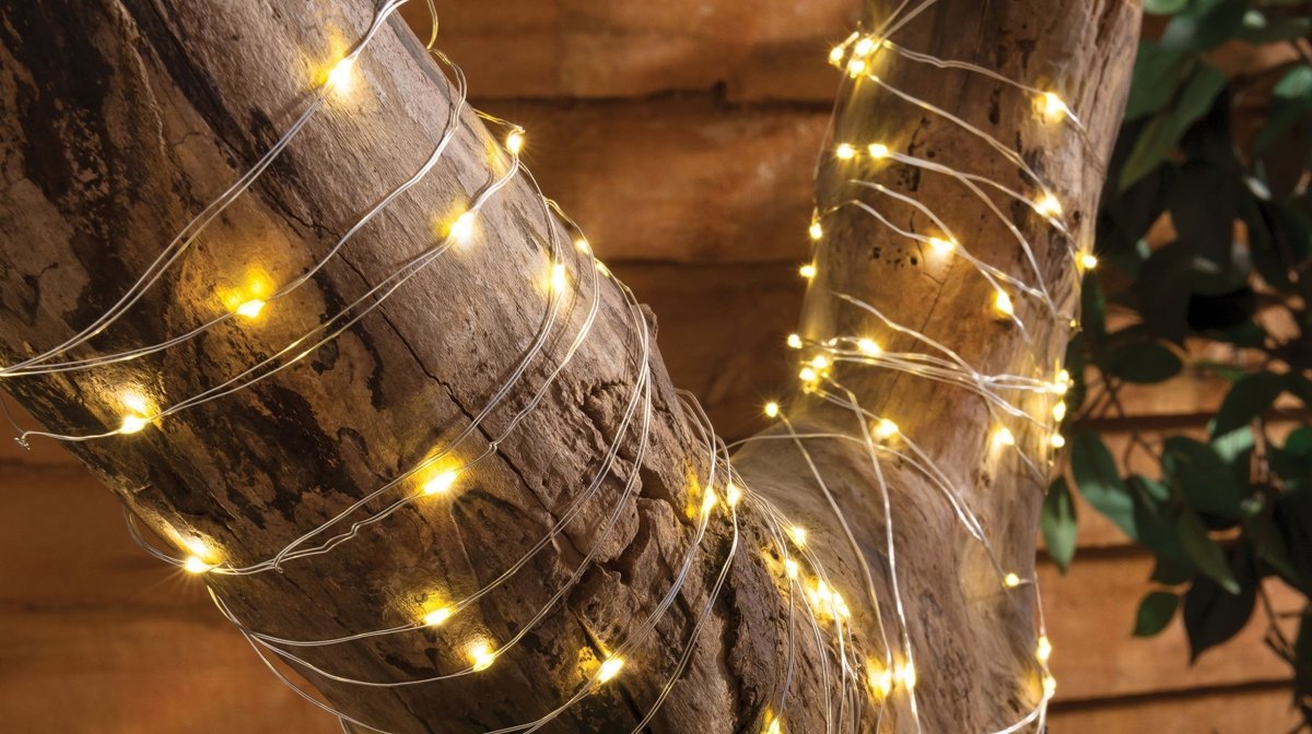 glowing fairy lights wrapped around a tree