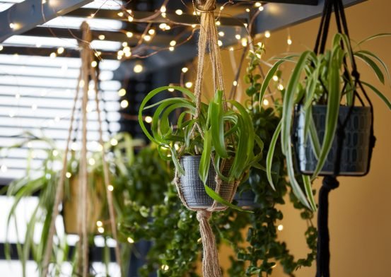 How To Install Floating Shelves and Create a Hanging Bathroom Garden