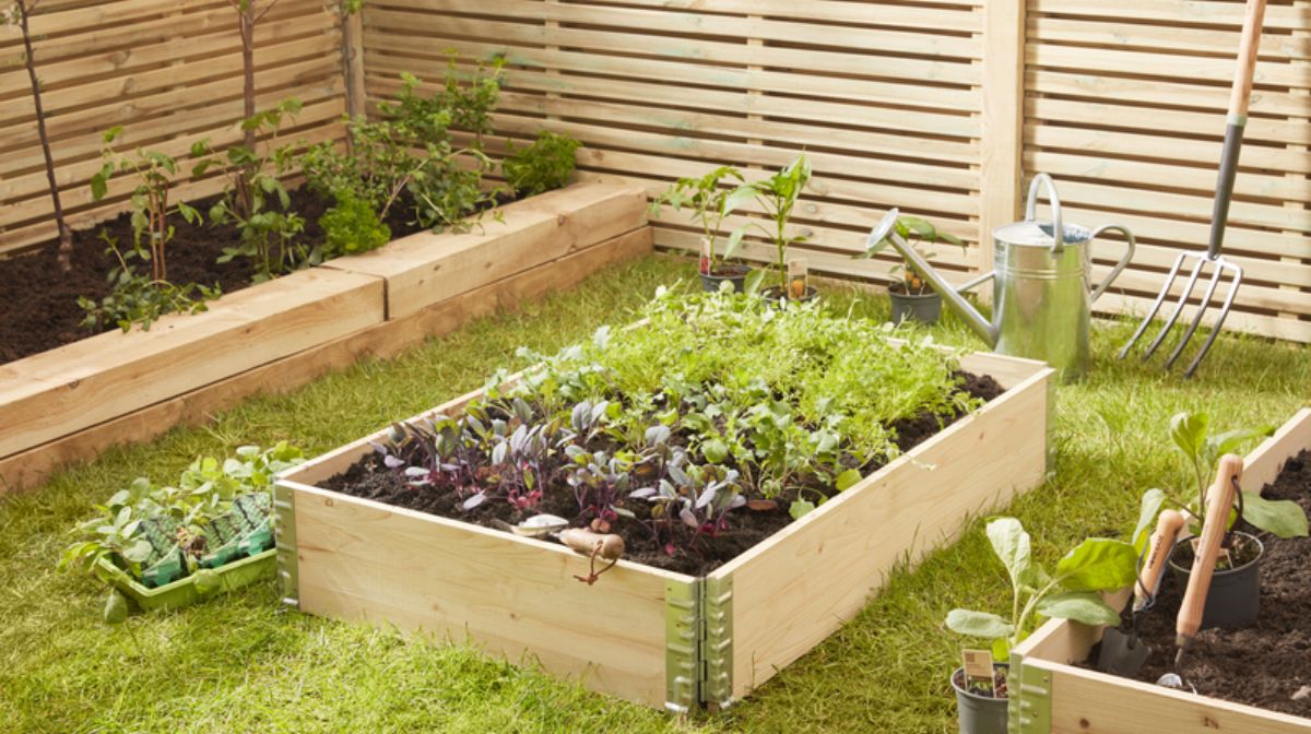 How To Build a Planter Bed