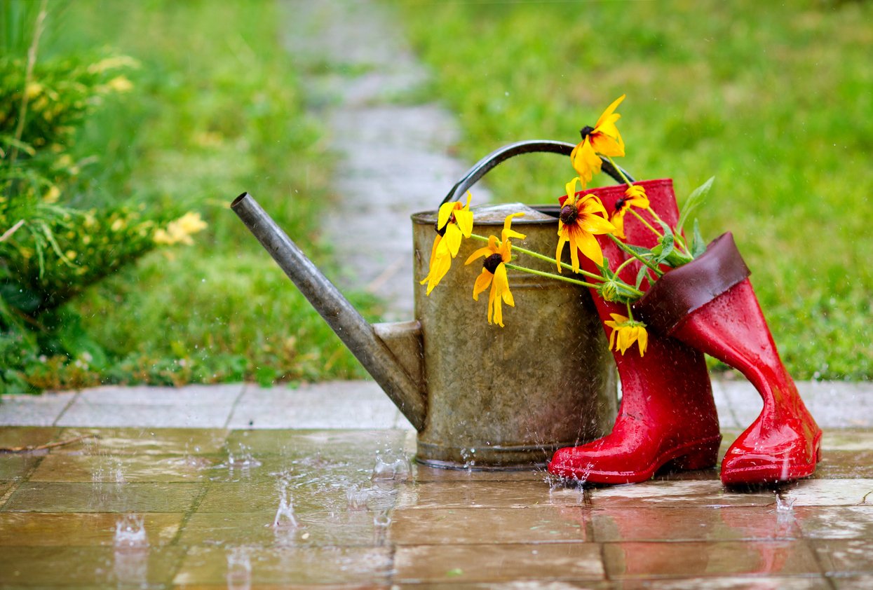 Watering can and wellington boots in the rain