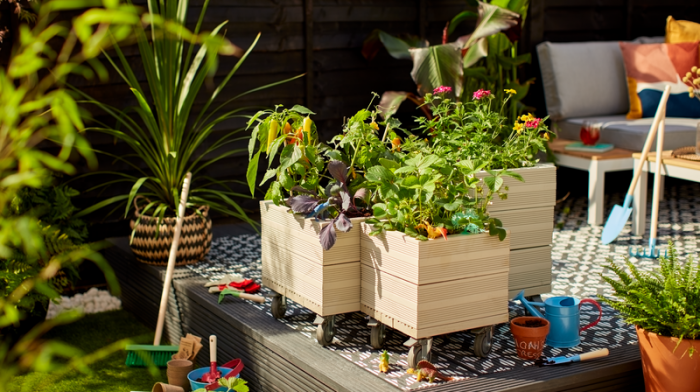 Design Ideas to Transform Your Garden