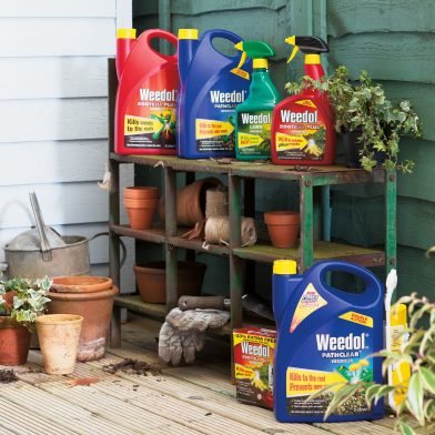 weed killer for lawns and driveway