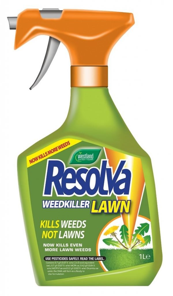 How To Choose the Best Weed Killer What is the Best Weed Killer