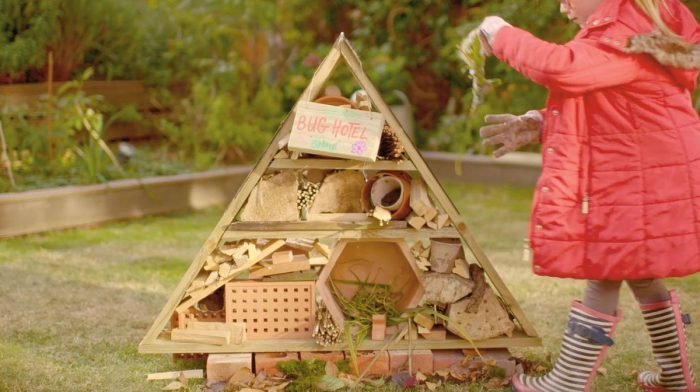 How To Build a Bug Hotel