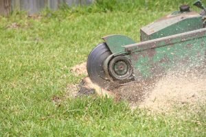 a tree stump grinder 