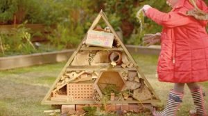 Bug hotel