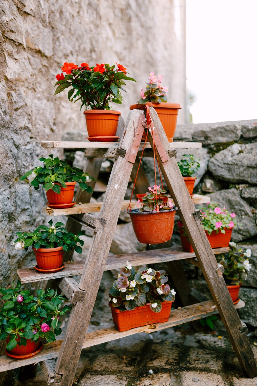 Garden ladder shelf